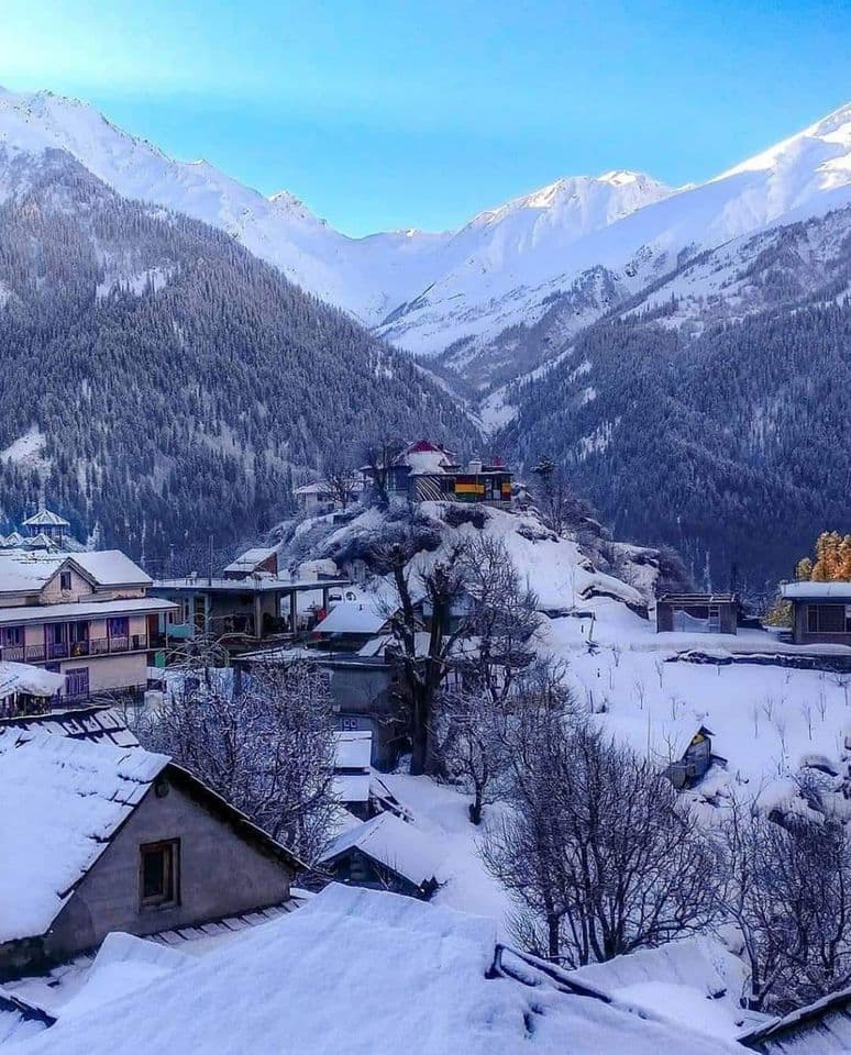 Parvati Valley: Nature's Untamed Sanctuary - Image 3